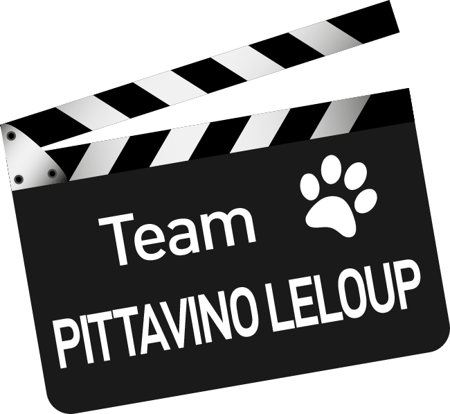 Team Pittavino